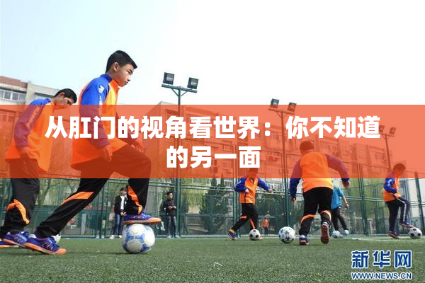 从肛门的视角看世界：你不知道的另一面