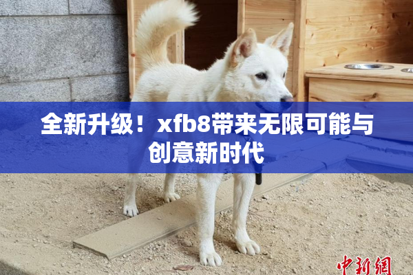 全新升级！xfb8带来无限可能与创意新时代