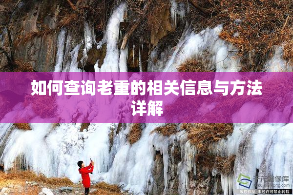 如何查询老重的相关信息与方法详解