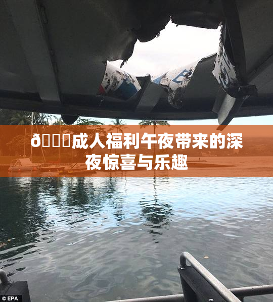 🔞成人福利午夜带来的深夜惊喜与乐趣