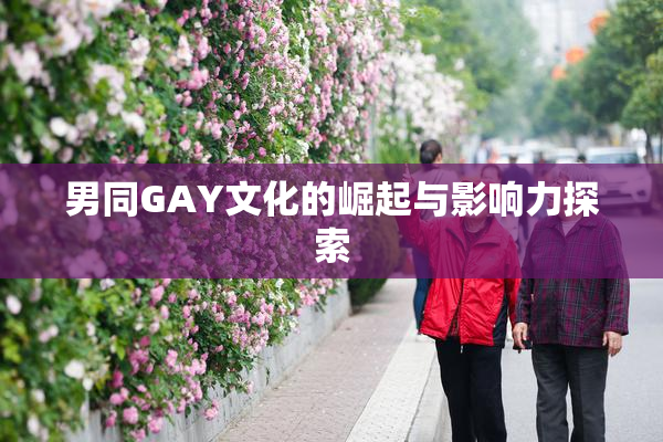 男同GAY文化的崛起与影响力探索