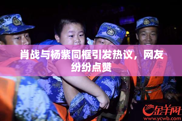 肖战与杨紫同框引发热议，网友纷纷点赞