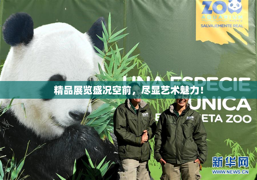 精品展览盛况空前，尽显艺术魅力！
