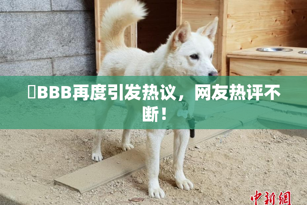 嫰BBB再度引发热议，网友热评不断！