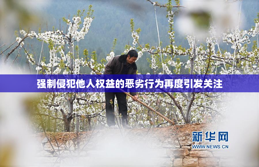 强制侵犯他人权益的恶劣行为再度引发关注