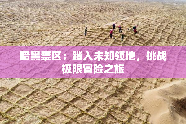 暗黑禁区：踏入未知领地，挑战极限冒险之旅
