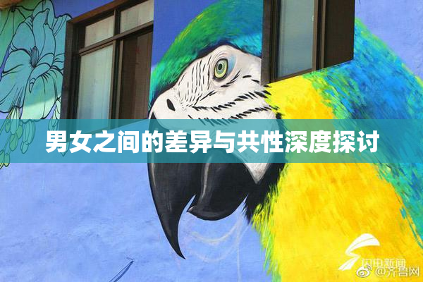 男女之间的差异与共性深度探讨