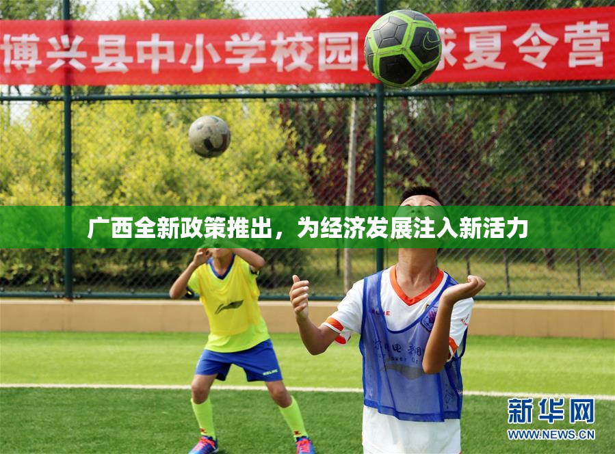 广西全新政策推出，为经济发展注入新活力