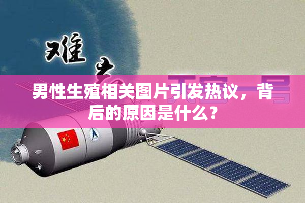 男性生殖相关图片引发热议，背后的原因是什么？