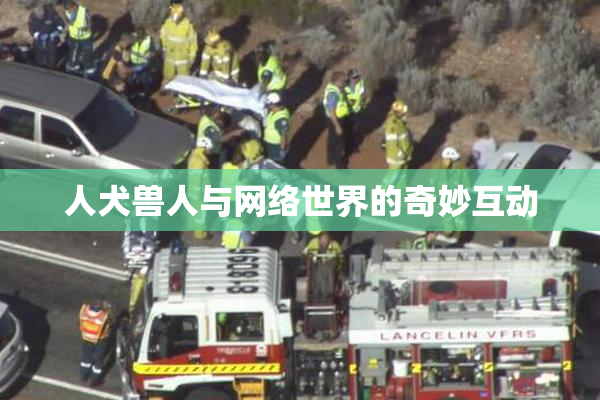 人犬兽人与网络世界的奇妙互动