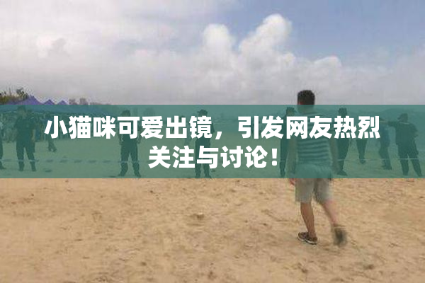 小猫咪可爱出镜，引发网友热烈关注与讨论！