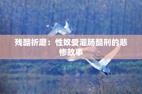 残酷折磨：性奴受灌肠酷刑的悲惨故事