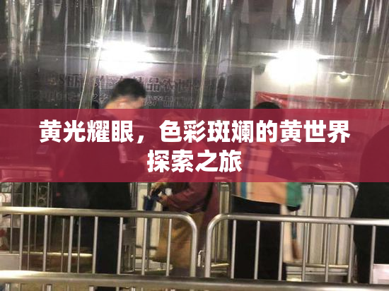 黄光耀眼，色彩斑斓的黄世界探索之旅