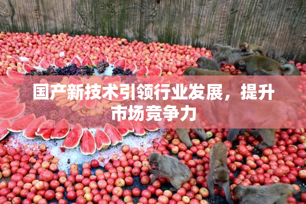 国产新技术引领行业发展，提升市场竞争力