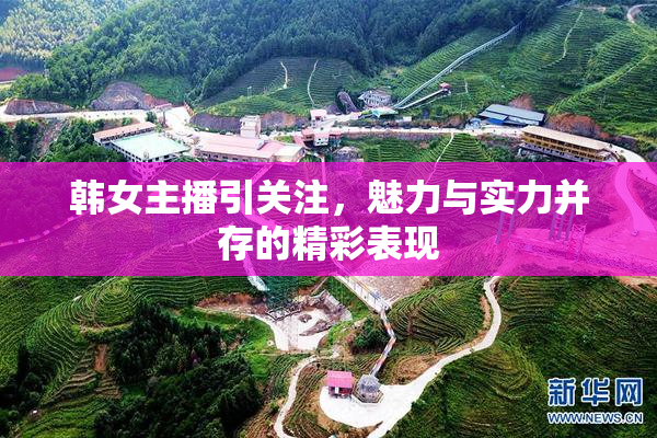 韩女主播引关注，魅力与实力并存的精彩表现