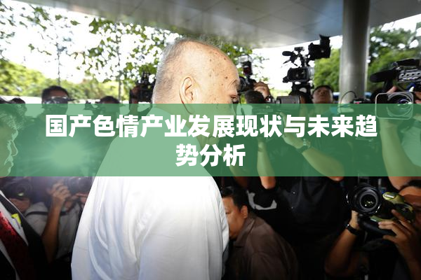 国产色情产业发展现状与未来趋势分析