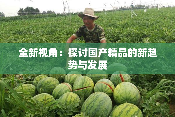 全新视角：探讨国产精品的新趋势与发展