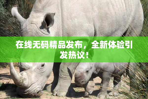 在线无码精品发布，全新体验引发热议！