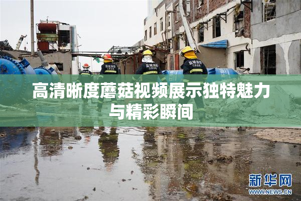 高清晰度蘑菇视频展示独特魅力与精彩瞬间