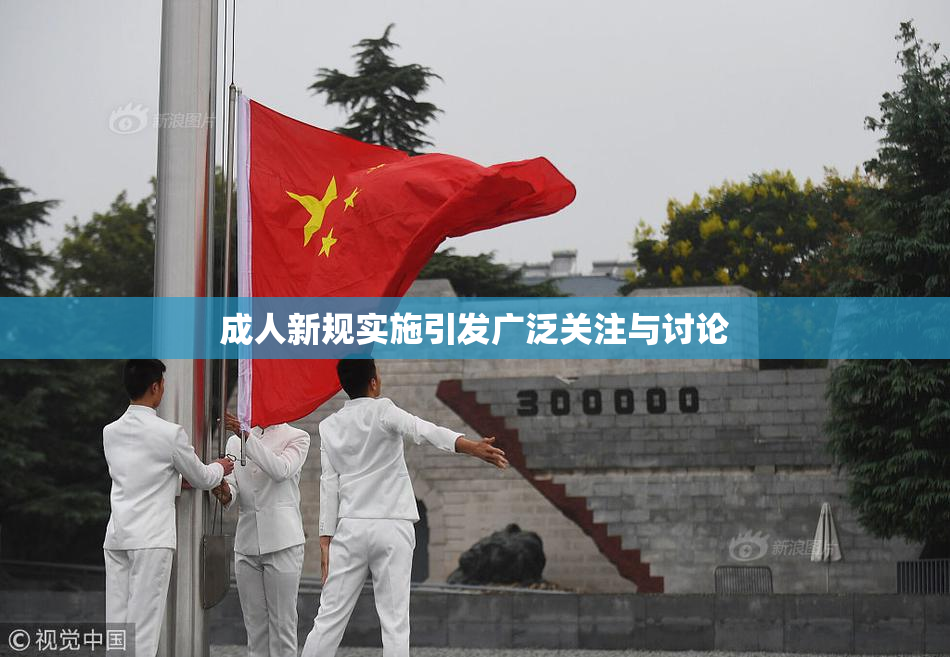 成人新规实施引发广泛关注与讨论