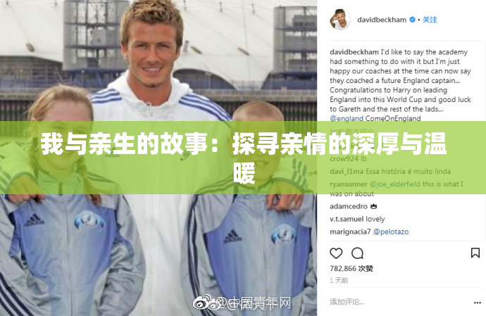 我与亲生的故事：探寻亲情的深厚与温暖
