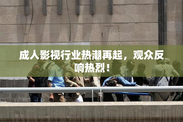成人影视行业热潮再起，观众反响热烈！