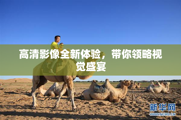 高清影像全新体验，带你领略视觉盛宴