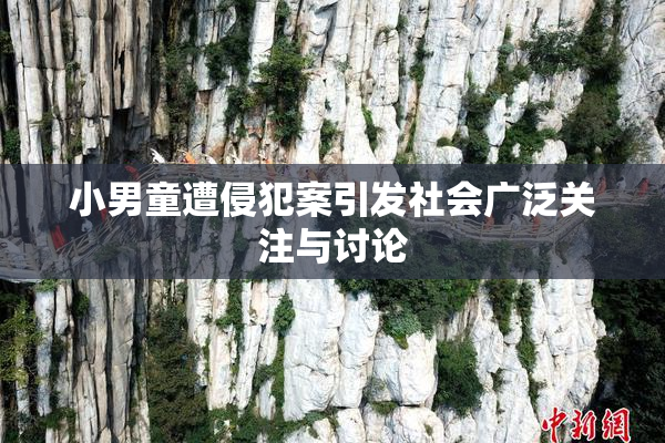 小男童遭侵犯案引发社会广泛关注与讨论