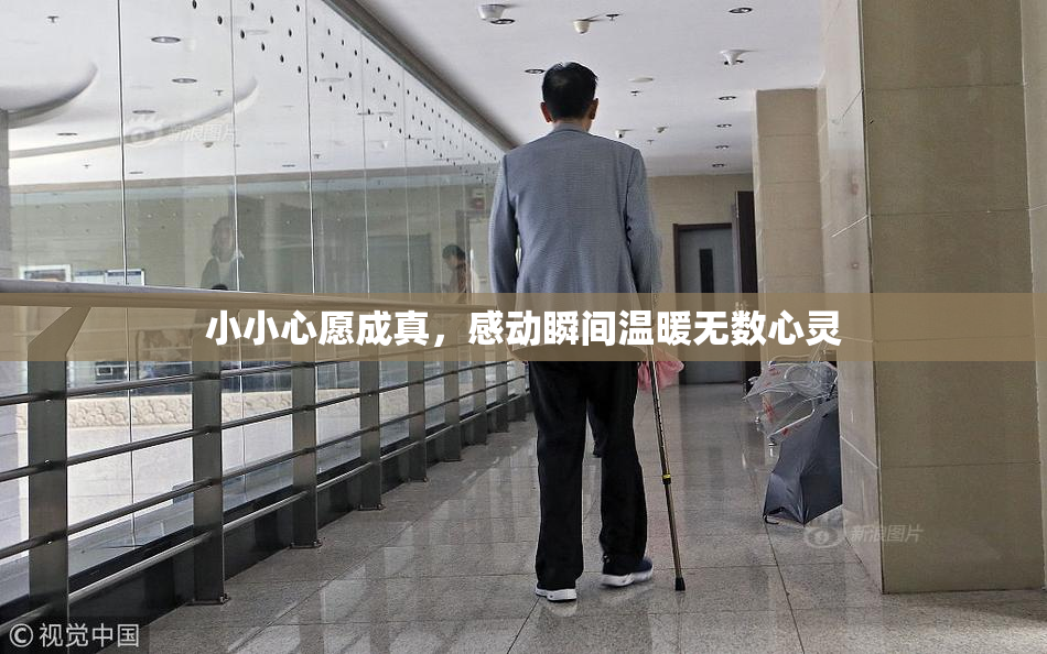 小小心愿成真，感动瞬间温暖无数心灵