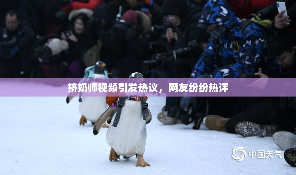 挤奶师视频引发热议，网友纷纷热评