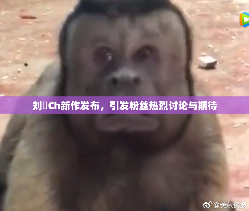 刘玥Ch新作发布，引发粉丝热烈讨论与期待