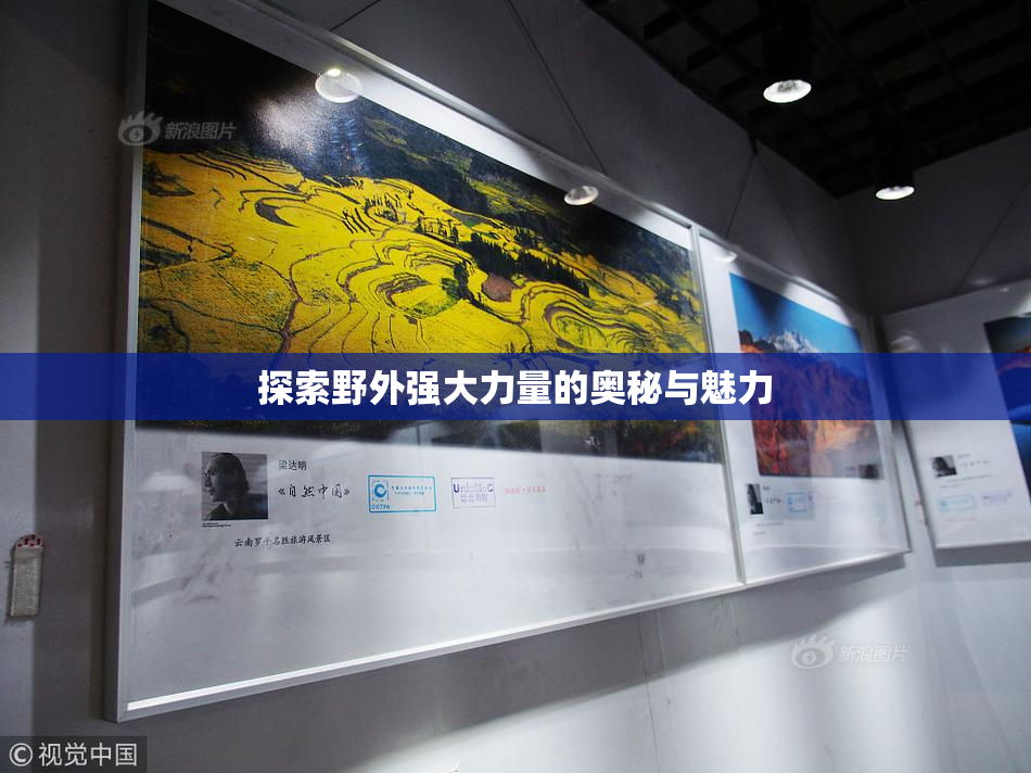 探索野外强大力量的奥秘与魅力