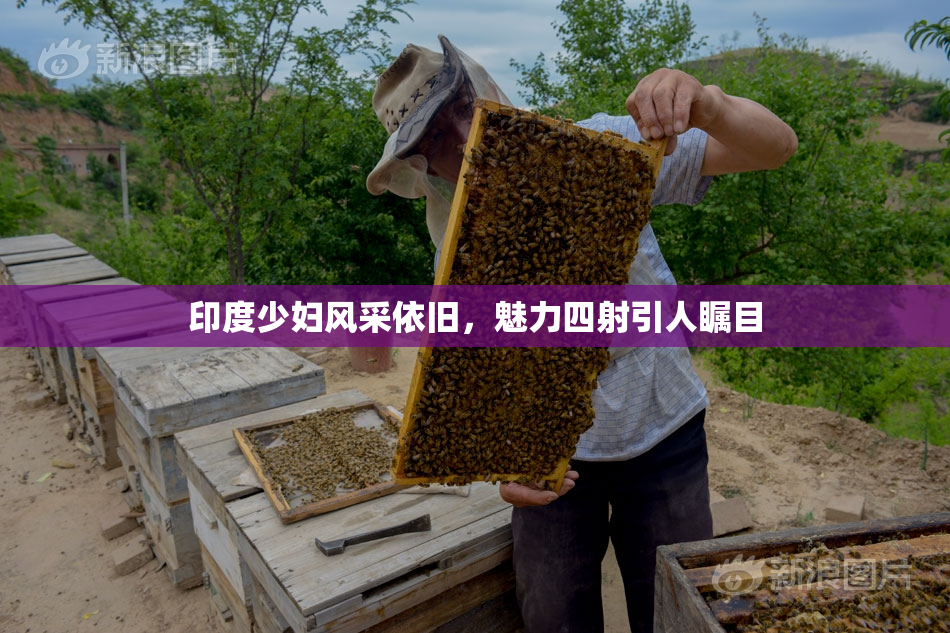 印度少妇风采依旧，魅力四射引人瞩目