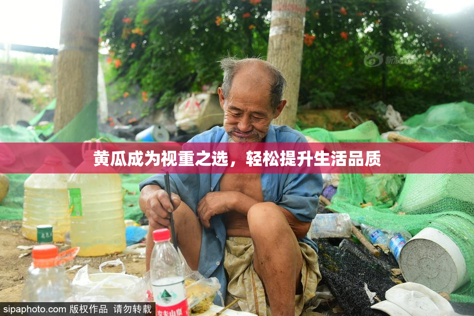 黄瓜成为视重之选，轻松提升生活品质