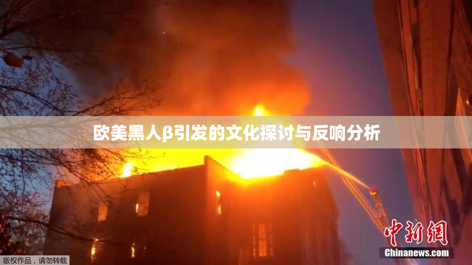 欧美黑人β引发的文化探讨与反响分析