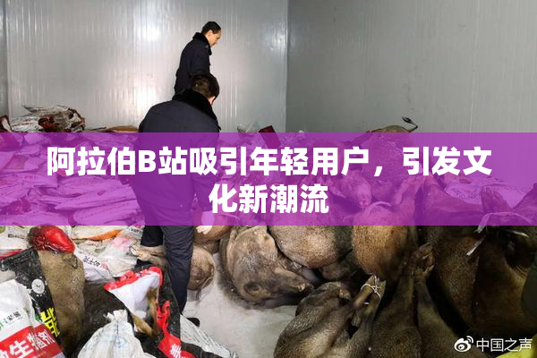 阿拉伯B站吸引年轻用户，引发文化新潮流