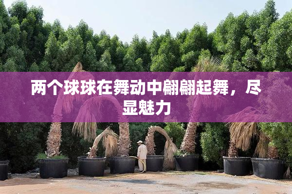两个球球在舞动中翩翩起舞，尽显魅力