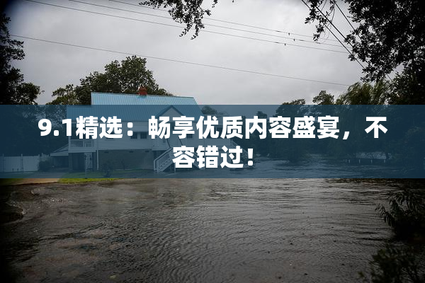 9.1精选：畅享优质内容盛宴，不容错过！