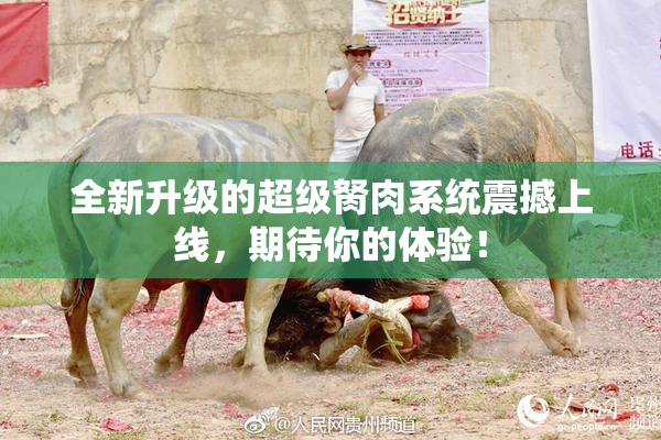 全新升级的超级胬肉系统震撼上线，期待你的体验！