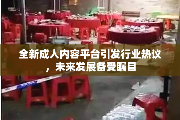 全新成人内容平台引发行业热议，未来发展备受瞩目