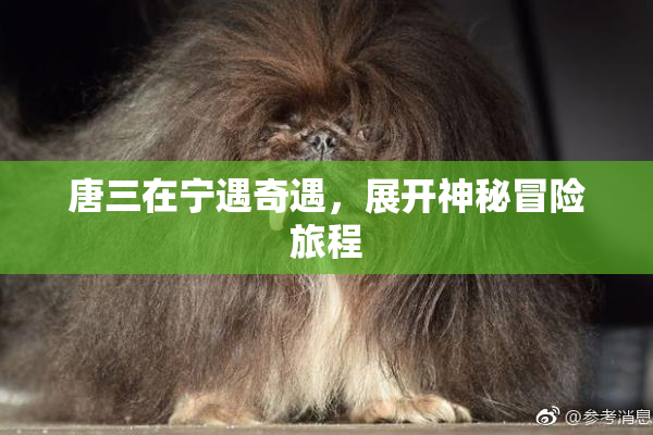 唐三在宁遇奇遇，展开神秘冒险旅程
