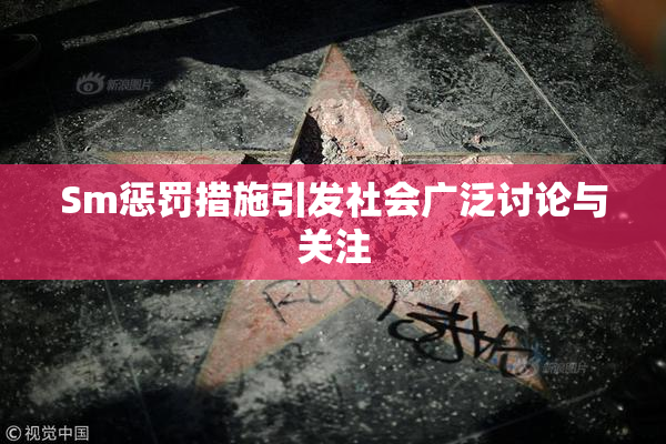 Sm惩罚措施引发社会广泛讨论与关注