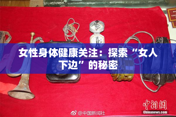 女性身体健康关注：探索“女人下边”的秘密