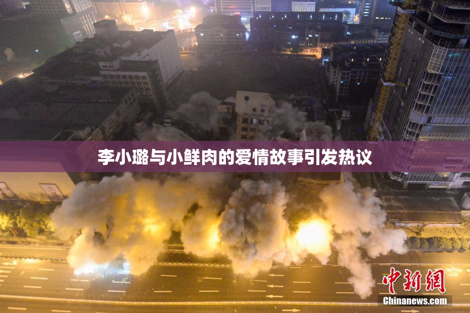 李小璐与小鲜肉的爱情故事引发热议
