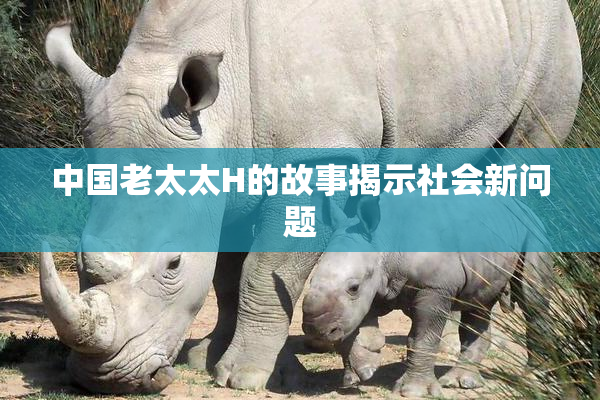 中国老太太H的故事揭示社会新问题