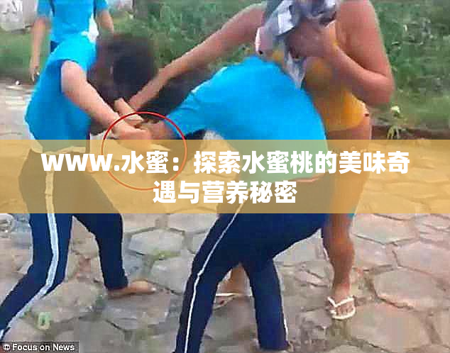 WWW.水蜜：探索水蜜桃的美味奇遇与营养秘密