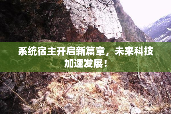 系统宿主开启新篇章，未来科技加速发展！