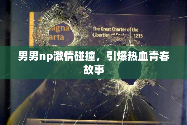 男男np激情碰撞，引爆热血青春故事