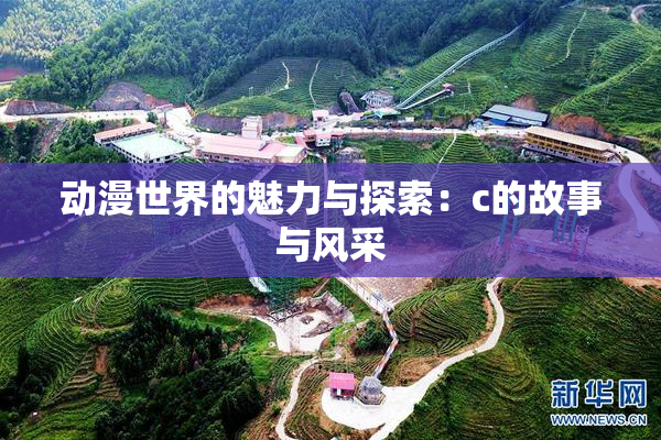 动漫世界的魅力与探索：c的故事与风采