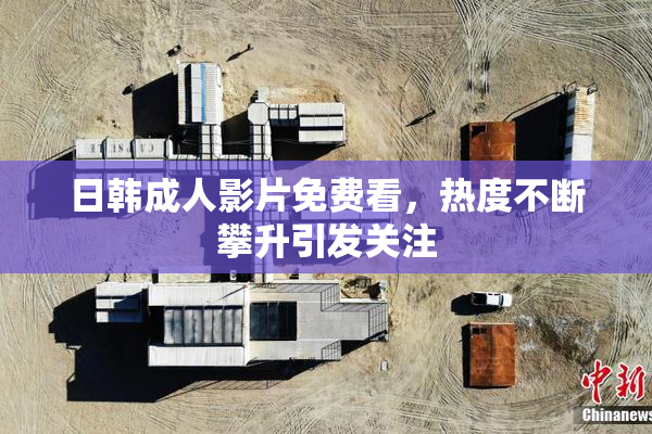 日韩成人影片免费看，热度不断攀升引发关注